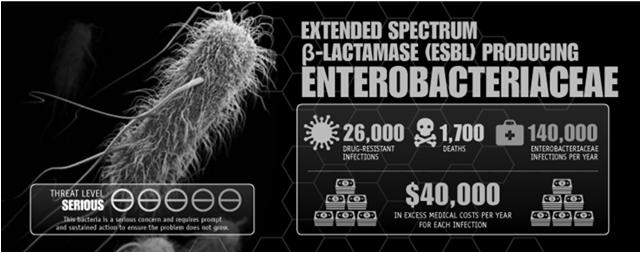 ESBL-producing Enterobacteriaceae Beta-lactamase Conferring Resistance.
