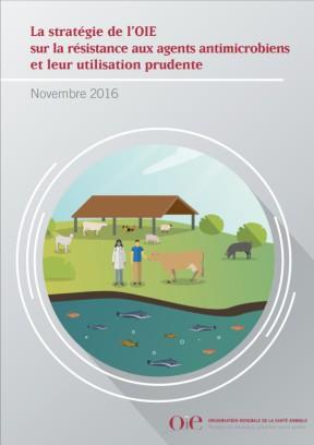 The OIE Strategy on AMR and