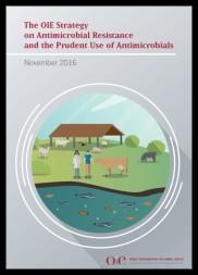 The OIE Strategy on AMR and the Prudent Use of Antimicrobials The OIE Strategy supports the objectives established in the Global Action Plan on antimicrobial resistance (AMR), developed by WHO with a