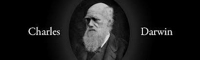 1 2 Describe Charles Darwin s Theory of.