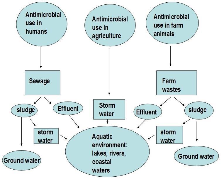 Antimicrobial resistance genes (ARGs) may have evolved naturally, indiscriminate use of antibiotics in human and animal sectors has led to selection and spread of resistant bacteria.