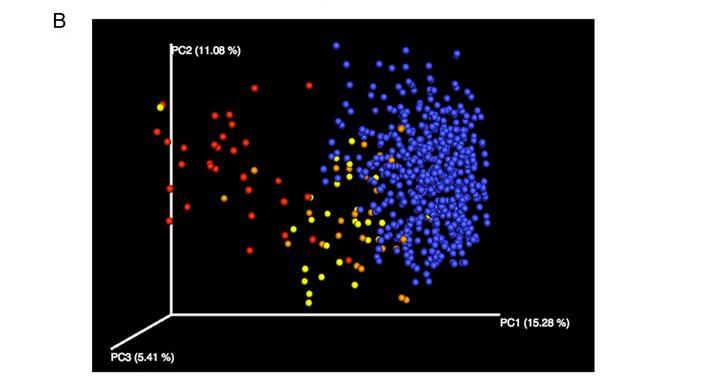 Patients given SER 109 had a microbiome that looked like the average population Red represents microbiome prior to SER 109, yellow represents after SER 109, and blue represents samples from the human