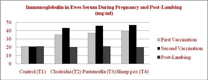 Figure 3. Concentrations of Total Igs in Serum of Ewes Figure 4.