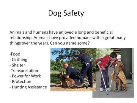 OBJECTIVE: Students will learn basic safety tips when dealing with dogs. Students will learn why dogs cause injuries by learning about basic animal behavior.