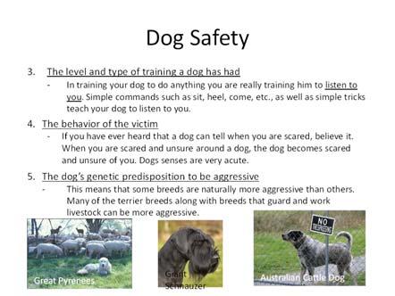 Dog attacks can occur from any size or breed of dog! The next couple of slides bring out some important points. Under no.