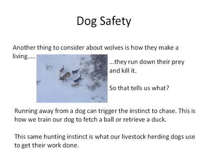 We have to learn how and why they think and act like they do. It is part of being a responsible dog owner. This slide is self explanatory.