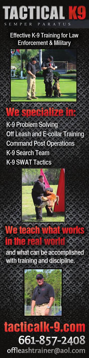 Over the years we continued to hone our tactics with hand signals and flashlight control during off lead searches, expanding our abilities to direct canines from a position of tactical advantage