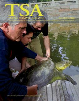 Introduction Reflections on the TSA Magazine Rick Hudson Call it what you will, but our once-little newsletter has grown into a full-fledged magazine.