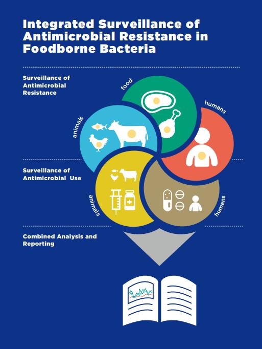 AMR surveillance in the food chain 2017 GLASS promotes multisectoral approach Guidance on Integrated Surveillance of AMR in the food chain provides a framework for integrated surveillance Harmonized