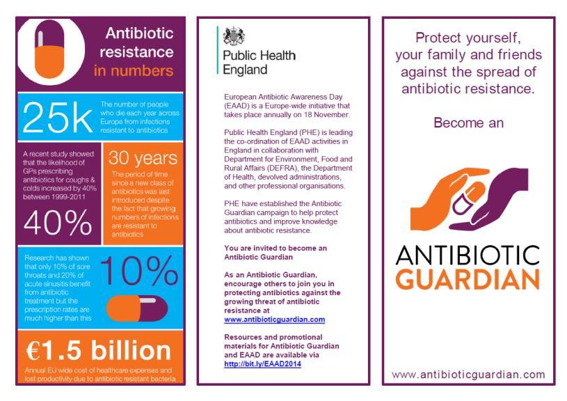 LEAFLETS: PUBLIC INFOGRAPHIC LEAFLET The A4 3-fold leaflet which gives key facts on antibiotic