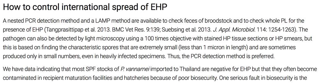 EHP Advisory from Thailand We have data indicating that most SPF stocks of P.