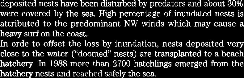 In orde to offset the loss by inundation, nests deposited very close to the water ("doomed nests) are transplanted to a beach hatchery.