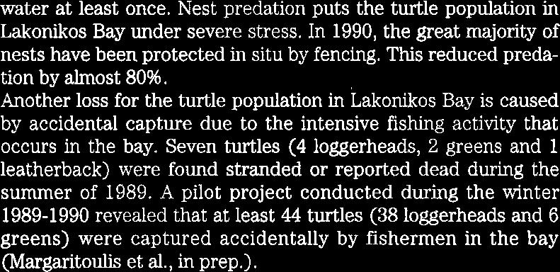 Another loss for the turtle population in Lakonikos Bay is caused by accidental capture due to the intensive fishing activity that occurs in the bay.