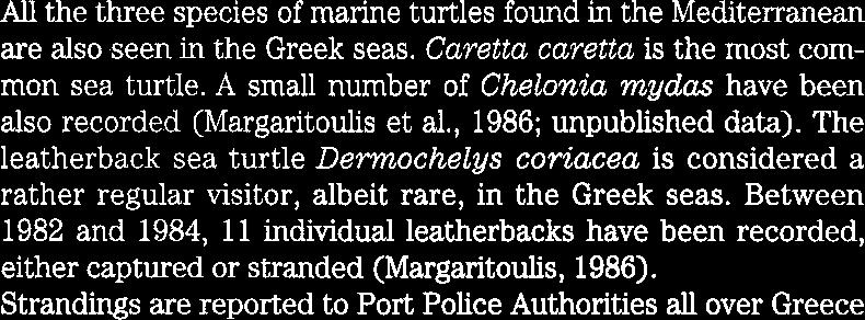 .turtles at sea All the three species of marine turtles found in the Mediterranean are also seen in the Greek seas.