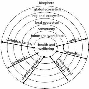 Introduction Ecohealth Theory Factors affecting health and wellbeing are connected in a multidimensional, complex web Societies,