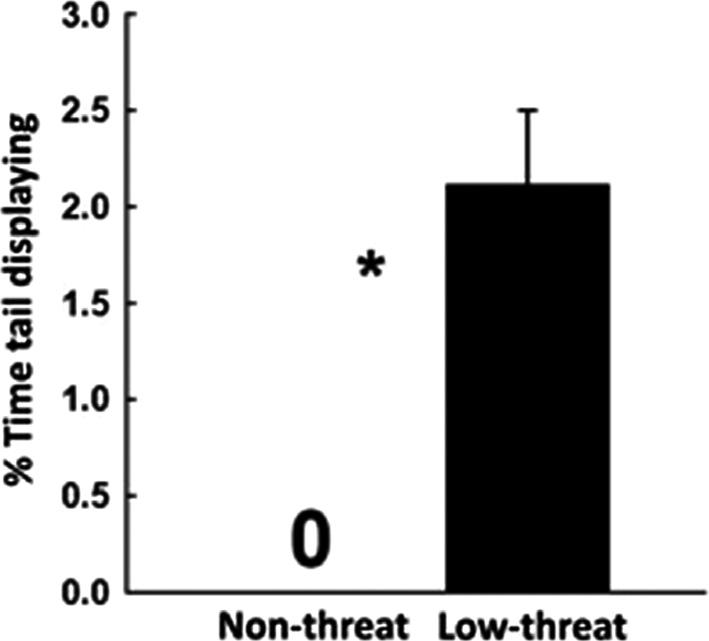 J. R. York & T. A. Baird Antipredator Tail Displays in a Lizard gave displays frequently (all four displays pooled) during 10 of 12 (83%) low-threat trials (t 2, 22 = 5.43, Cohen s d = 2.