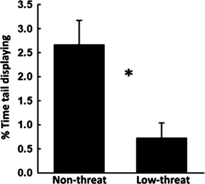 03) than that during high-threat trials (Fig. 4). Moreover, in highthreat trials lizards were over 3.