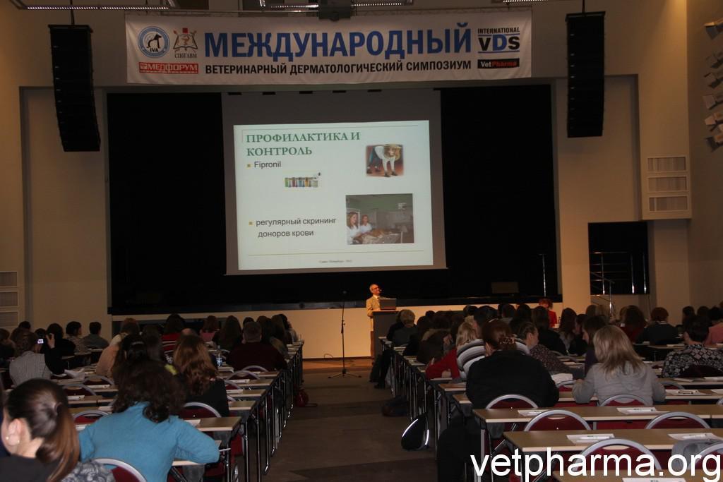 Distinctions: Veterinary Surgeon of 2010 (Bulgarian Veterinary Association) Found a