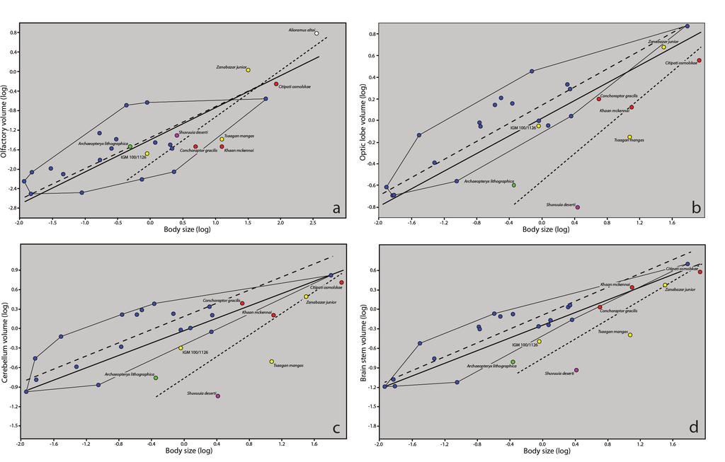 doi:10.1038/nature12424 Figure S1. Bivariate plots of log-transformed data of body size.
