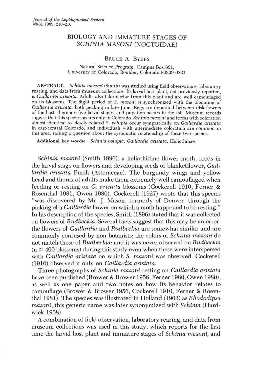 Journal of the Lepidopterists' Society 43(3), 1989, 210-216 BIOLOGY AND IMMATURE STAGES OF SCHINIA MASONI (NOCTUIDAE) BRUCE A.