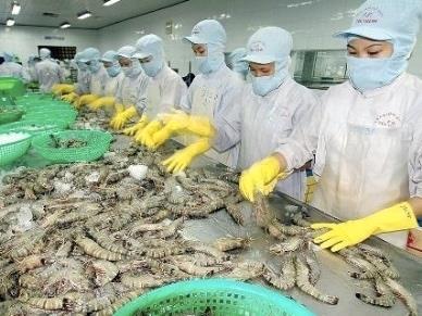 Shrimp: Market and Trade Vietnam exports shrimp to over 95 countries and territories Main markets: America, EU, Japan,China, Korea, Australia,