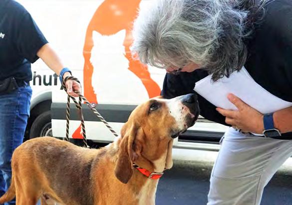 Some of the animals were transported to Geauga Humane Society Rescue Village, an AHS shelter partner in Cleveland, Ohio, some were moved to AHS for care and adoption, and others were transported to