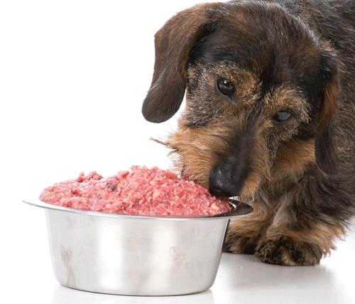 At Buddies Natural Pet Food, we are dedicated to helping your dog achieve optimum health. We realize that switching to, and feeding, a raw diet can be a touchy subject with some people.