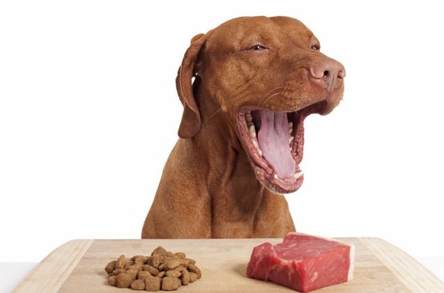 Common Misconceptions There are a lot of misconceptions about raw feeding. Here are some of the most common ones that we hear... Raw will make my dog vicious once it gets the taste for blood!