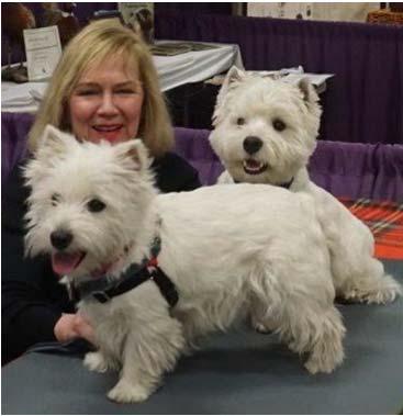 The club did not do a supported entry this year since in past years there were few participating Westies; we did see a better entry but only one Westie was owner handler and the balance were shown by