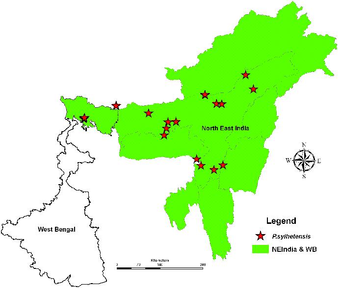 Figure 5. Distribution of Pangshura sylhetensis in northeast India and West Bengal. Green shading = projected distribution based on GIS-defined hydrologic unit compartments (HUCs) (Buhlmann et al.
