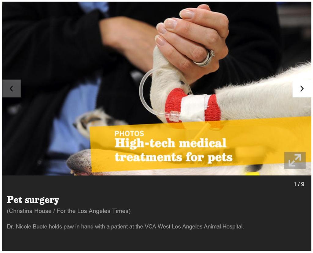 "That's what is so cool about this," says Dr. John Chretin, head of oncology at VCA West Angeles Animal Hospital.