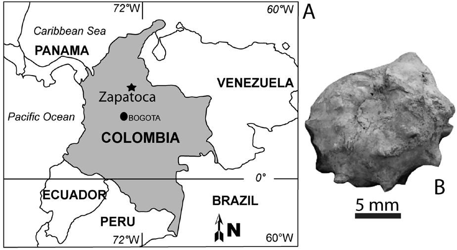 Figure 2 1. A. Location of Zapatoca town, Department of Santander, Colombia 6 50 35 N, 73 13 50 W. B.