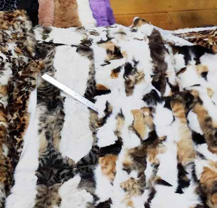 Evidence-based and anecdotal research show how the low-cost industry of catching stray cats to supply the fur fashion industry is a lucrative