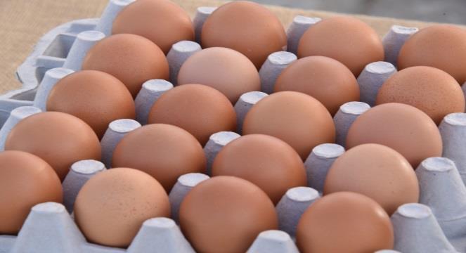 TOXICITY To reach the level of toxicity, a person of 80Kg would need to eat at least 17 jumbo eggs per day. A child of 15kg, 3 eggs per day.