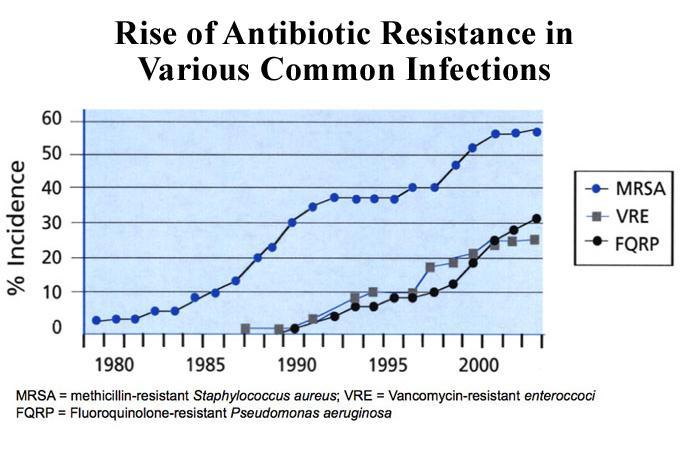 The first antibiotic, penicillin, became widely available in 1940. Antibiotics have since become a popular weapon in the medical arsenal against disease.