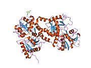 LACTOFERRIN Iron-binding protein with antibacterial properties Minor whey