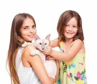 Pet Care Plans save you time and money, with benefits like: Free office visits Up to off of veterinary services Free drop-off service beginning at 6:30 am, with pick-up that same day as late as 8 pm