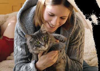 Spaying and Neutering: The Right Choice Why should you spay or neuter your pet?