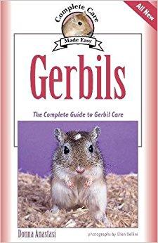 Gerbils: The