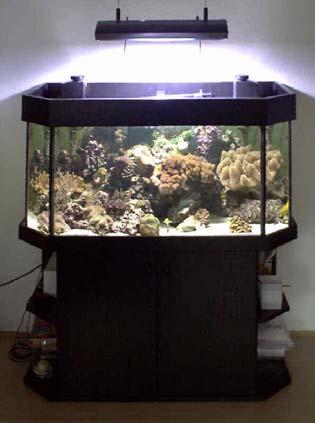 it is very complicated and this should be done only by specialists. A well running aquarium smaller than ca. 300 liters is very complicated to start up.