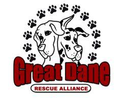 GREAT DANE RESCUE ALLIANCE, INC. Volunteer Application Please Return to: Brittany Dail 3759 Countryaire Drive Ayden, NC 28513 Today's Date 1. Name 2. Email Address 3. Address 4.
