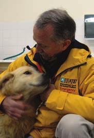 IFAW rushes to aid stranded or entangled