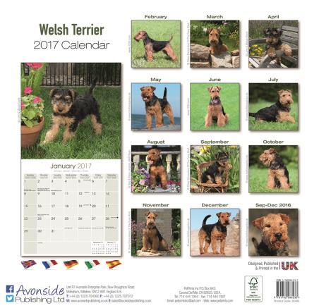 They measure 12 square (24 x 12 when in use and cover 16 months From September 2016.Each month in 2017 has a full colour photo of Welsh terriers The calendar costs 9.45 including p&p ( 9.