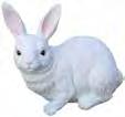 6in x 6.8in White 80122 *08512560* Peter Rabbit 14.