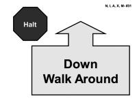 31. HALT Down Walk Around - While heeling, the handler halts and the dog sits in heel position.