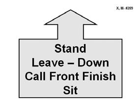 209. Stand Leave Down Call Front Finish Sit - While heeling, the handler will stop forward motion; the dog must stand and stay.