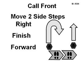 304. Call Front - Move 2 Side Steps Right - Finish Forward - While heeling, the handler stops and calls the dog to front. The handler may take several steps backward.