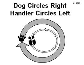 Without moving their feet, the handler may command/signal the dog to finish. The dog must finish left and sit in heel position. (Stationary) 319.