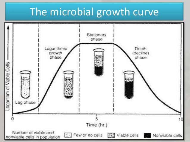 The Key to NOIGEL s breakthrough Logarithmic growthbacteria in the absence of competition with each other "dump" the majority of virulence factors and toxin formation (including factors of acquired