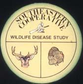 state wildlife liaisons Research & surveillance of diseases/agents including MG, PRV, VSV, ASF,